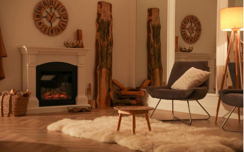 Luxe Faux Fur in Light Hues as an idea for a modern cozy living room