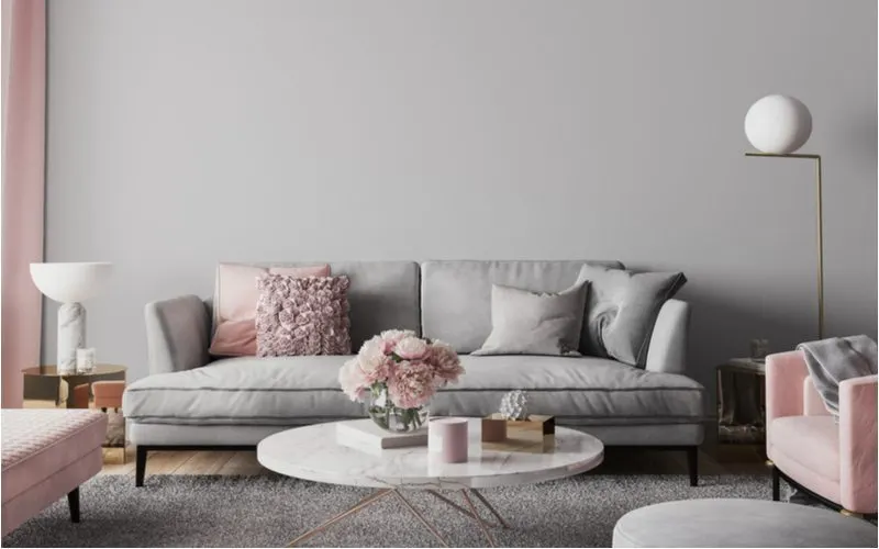 Feminine Grey Living Room Idea