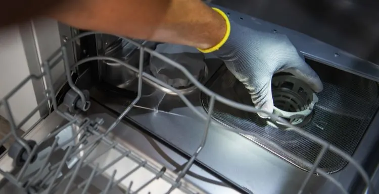 Can You Put Drano in a Dishwasher?
