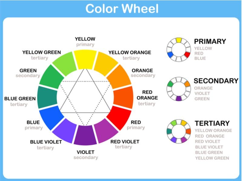Graphic of a color wheel for a piece on what color wood floors go with dark cabinets