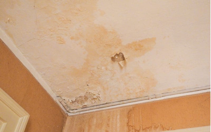 Water stain on ceiling of a grandparent's home with taupe walls and white trim