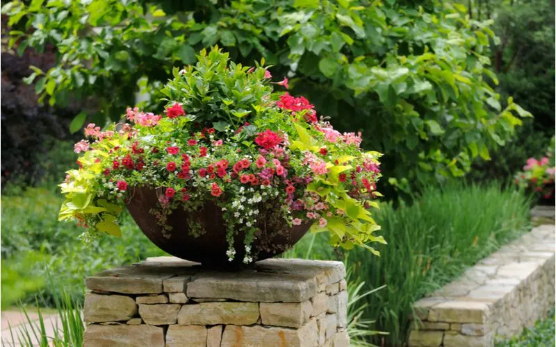 Simple and Beautiful Planter in the style of a bowl and brown in color sitting on a paver brick column