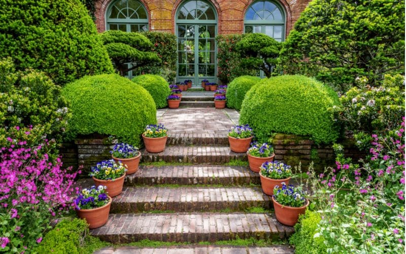 Terra cotta entryway planter ideas with pots on each individual step and lining the walkway leading up to the door