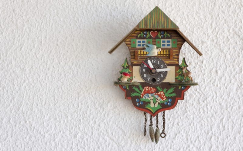 Swedish-style cuckoo clock on a stucco textured wall for a piece on clock types