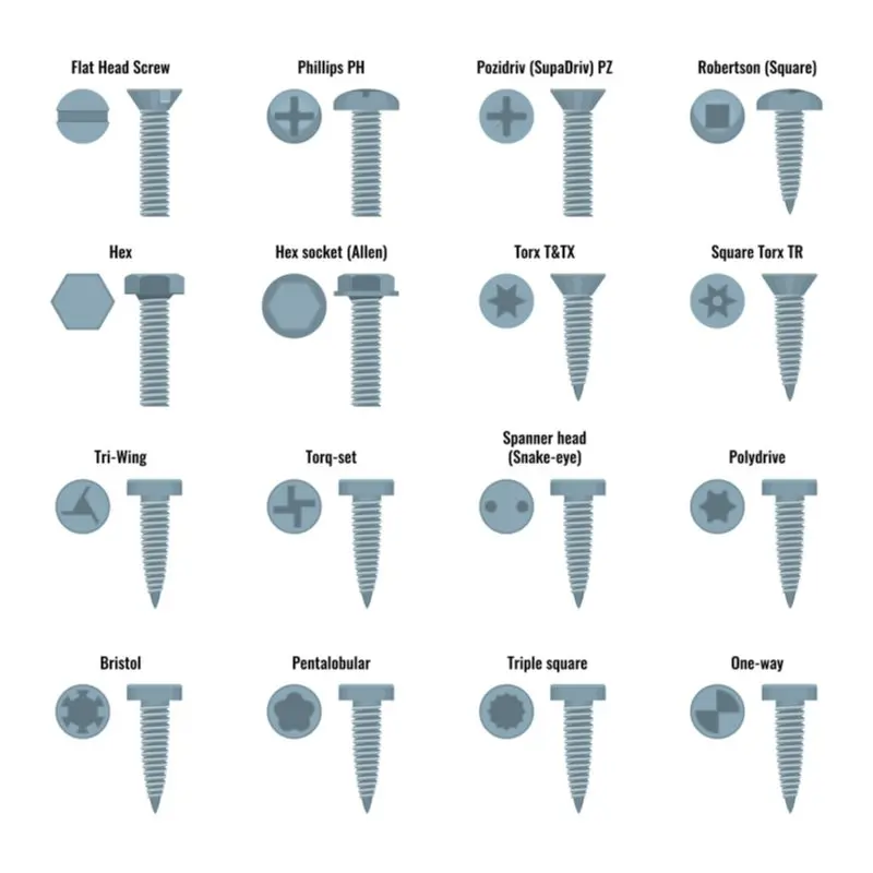 16 different types of screw heads in varying styles displayed side by side in a graphical image
