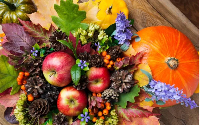Vibrant bouquet made of apples and pumpkins and pinecones for a piece on fall centerpiece ideas