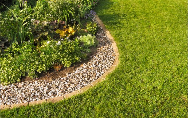 Lawn edging idea made of brick and rock that curves around the edge of a landscaping bed in which various types of plants sit