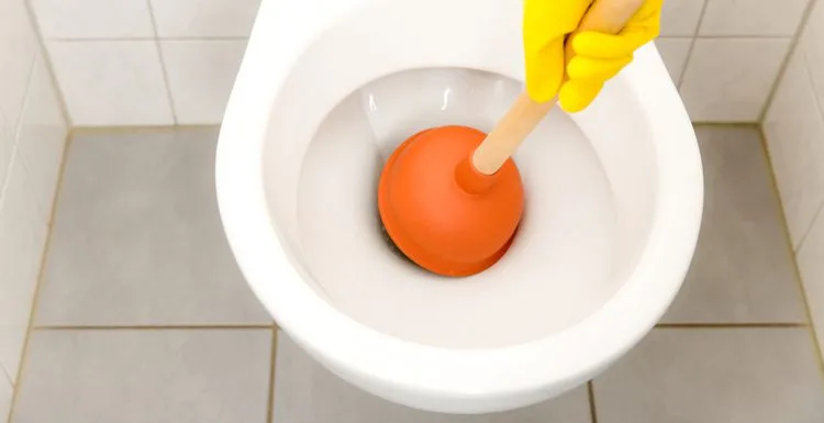 How to Unclog a Toilet With Poop in It