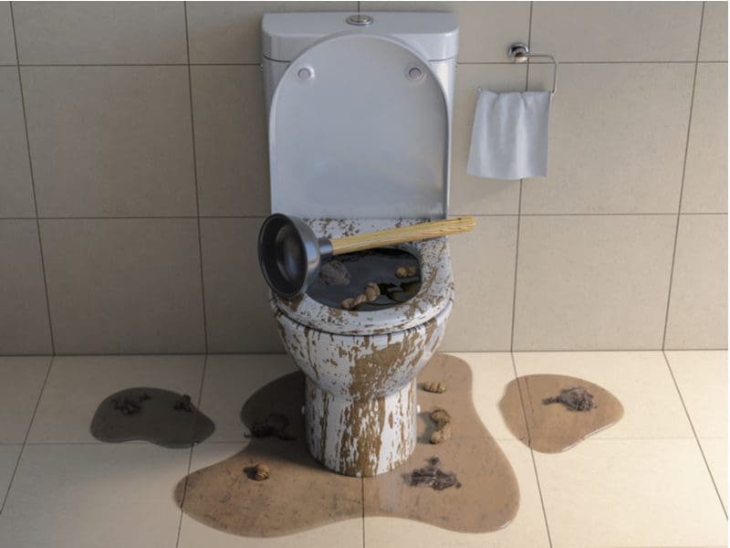 For a piece titled How to Unclog a Toilet With Poop in it, a white toilet with poop in it and a plunger on the top sits on a tan tile floor