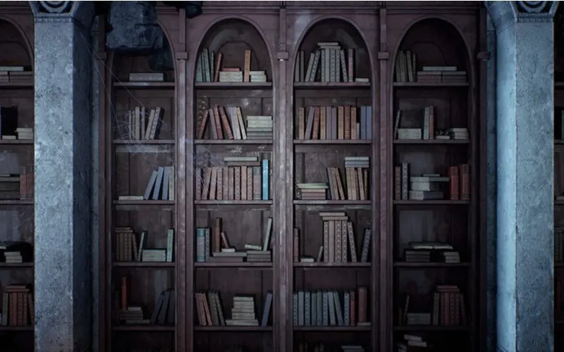 For a piece on gothic bedroom ideas, a Medieval Bookcase between two drab pillars