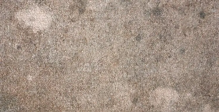 How to Fix Bleach Stains in Carpet | Step-by-Step Guide