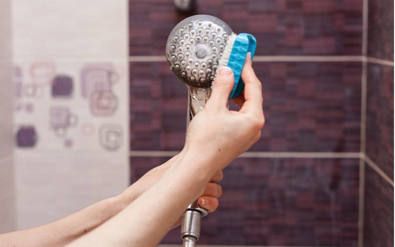 Woman showing us how to increase water pressure in shower by cleaning the calcium off the shower head with a brush