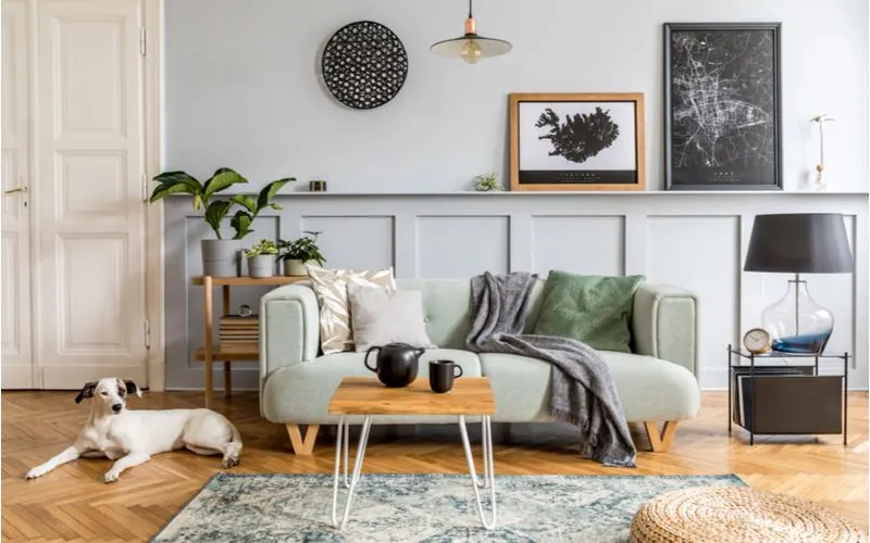 Grey living room walls that goes well with wooden furniture