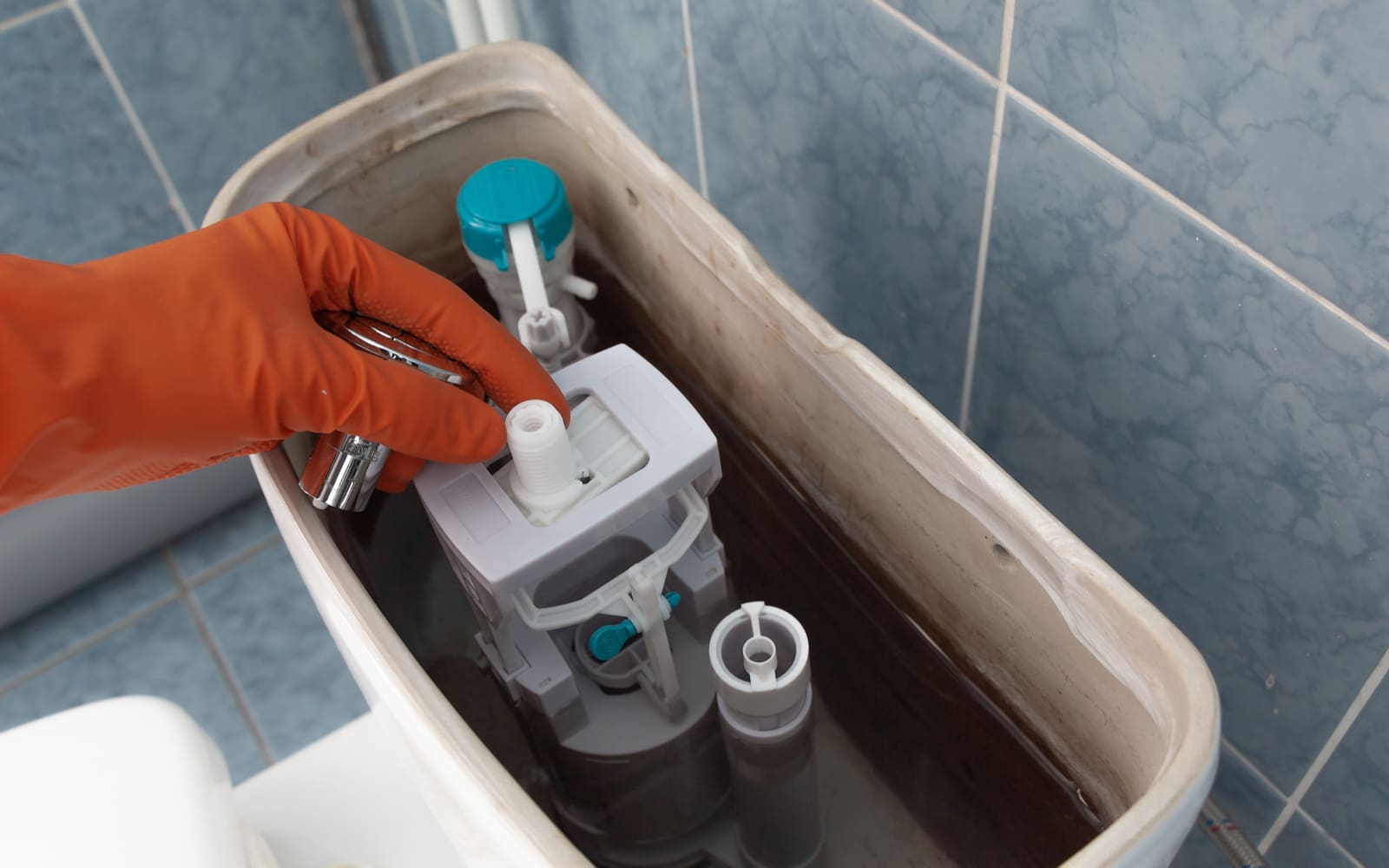 Person replacing toilet tank parts while wearing rubber gloves