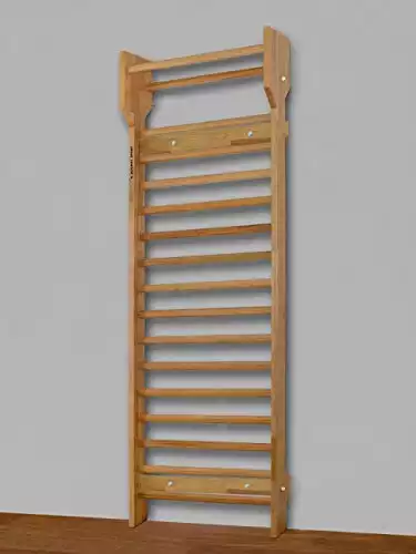 ARTIMEX Wooden Swedish Ladder Set for Gym