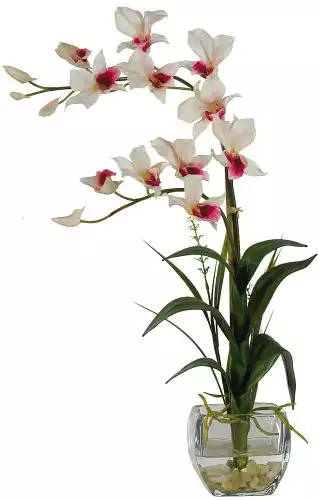 Nearly Natural 1135-WH Dendrobium with Glass Vase