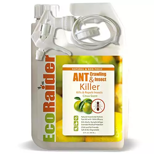 EcoRaider Ant & Crawling Insect Killer, Safe for Children & Pets