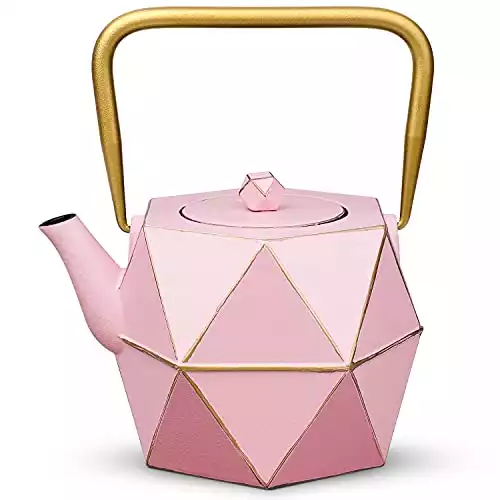 Cast Iron Teapot, TOPTIER Japanese Cast Iron Tea Kettle