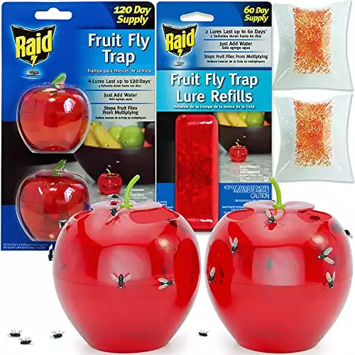 Raid Fruit Fly Trap | 2 Lures &  Refills for Indoor Use