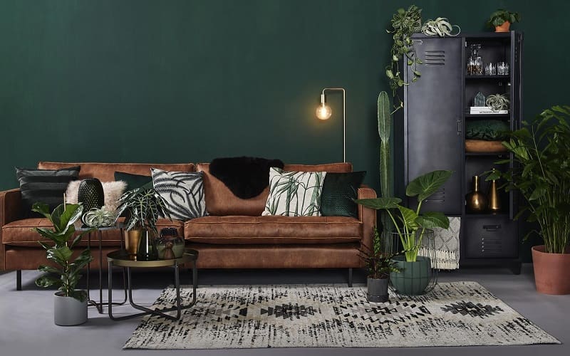 Dark green walls combined with brown furniture