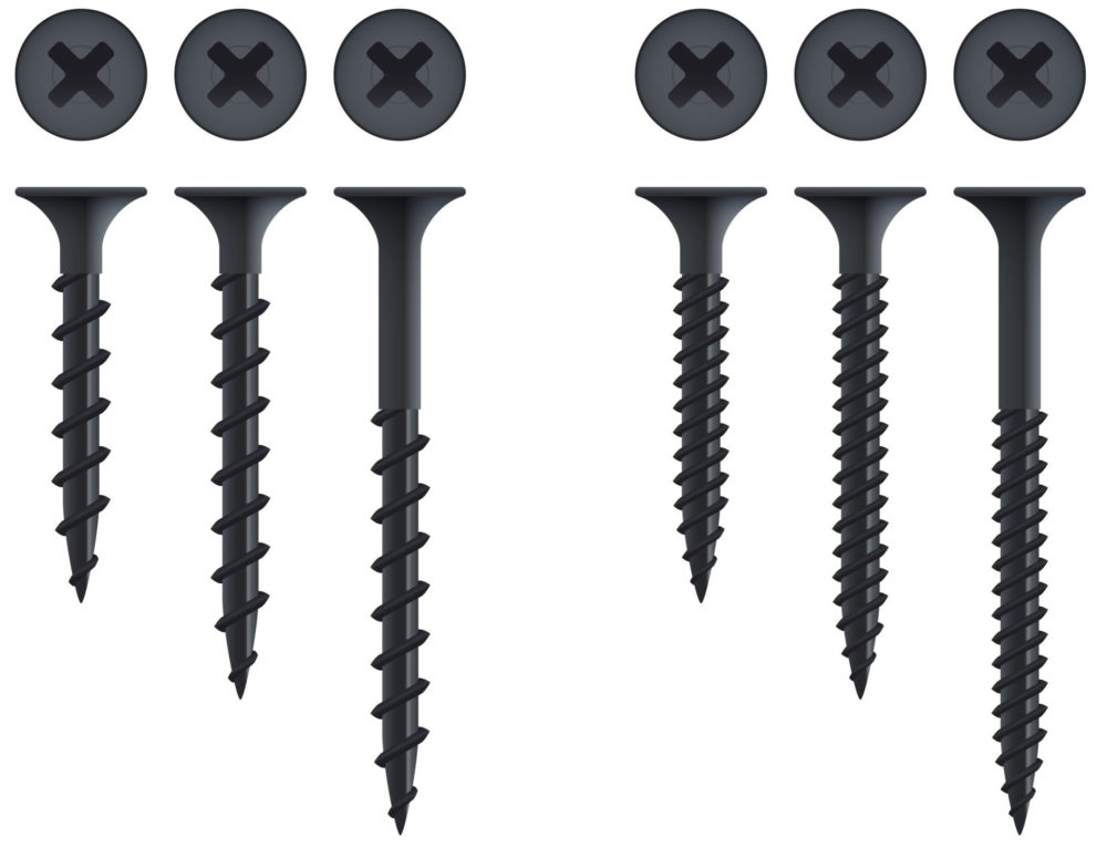 Several types and sizes of drywall screws in vector format on a white background