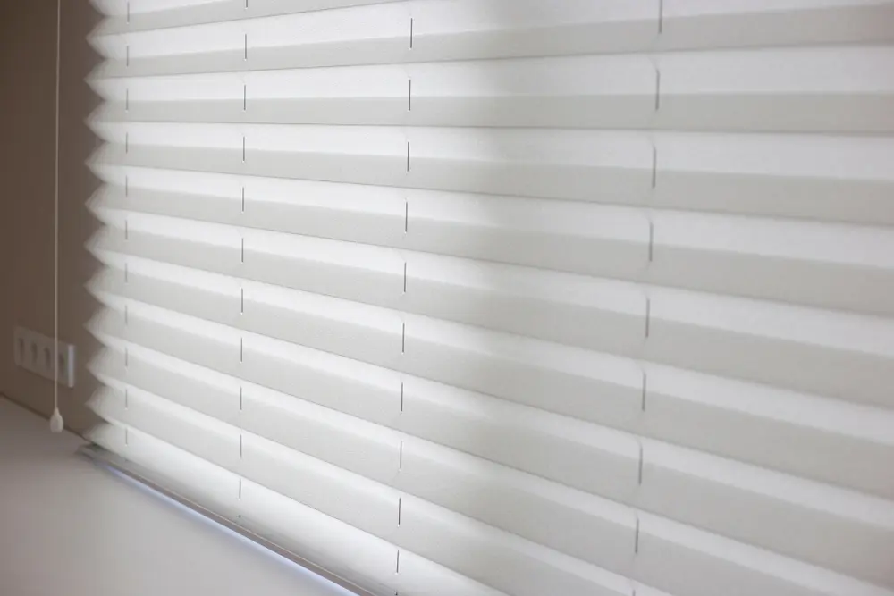 Close-up image of a home with pleated blinds that are white in color