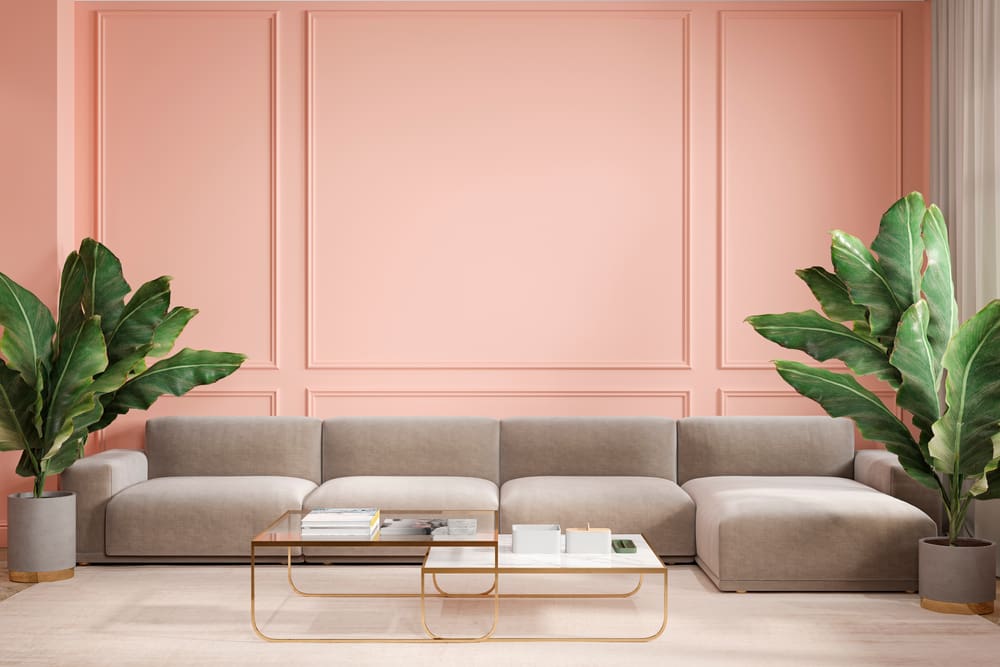 Peach interior living room highlighting various colors that go with peach