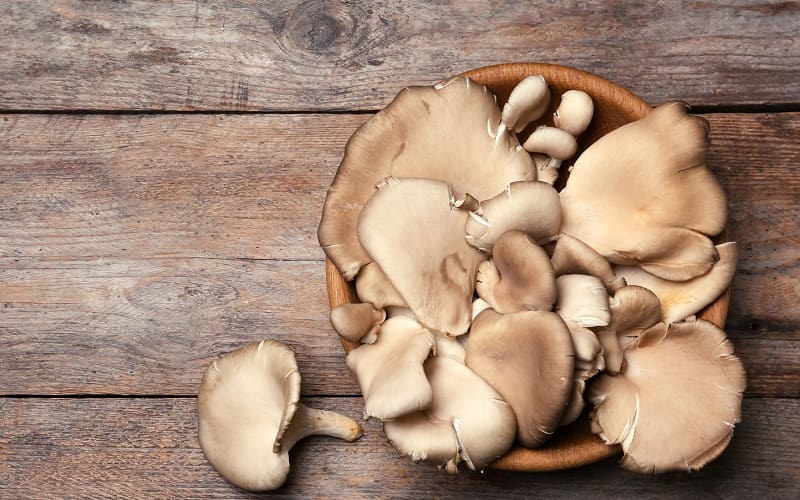 Oyster mushrooms in wooden bowl