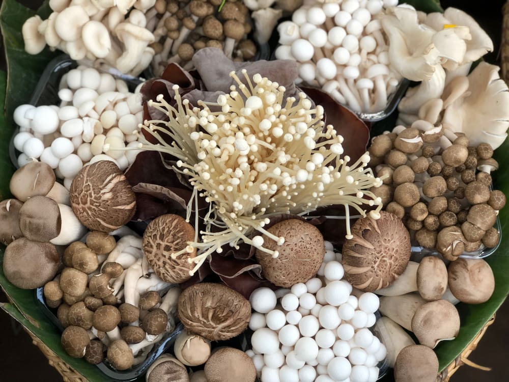 Several types of raw mushrooms on a table in a layflat image