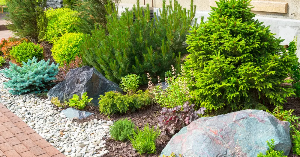 One of the most common types of rocks for landscaping, river rock and boulders, pictured alongside evergreen bushes