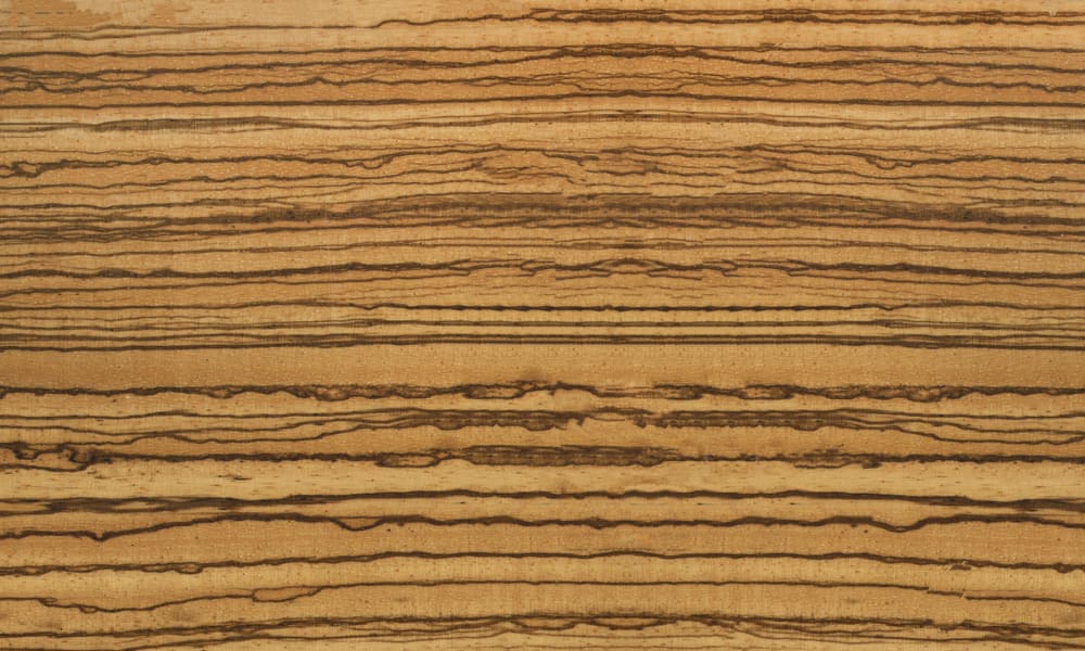 Photo of one of the types of wood grain patterns, zebrano, pictured from above