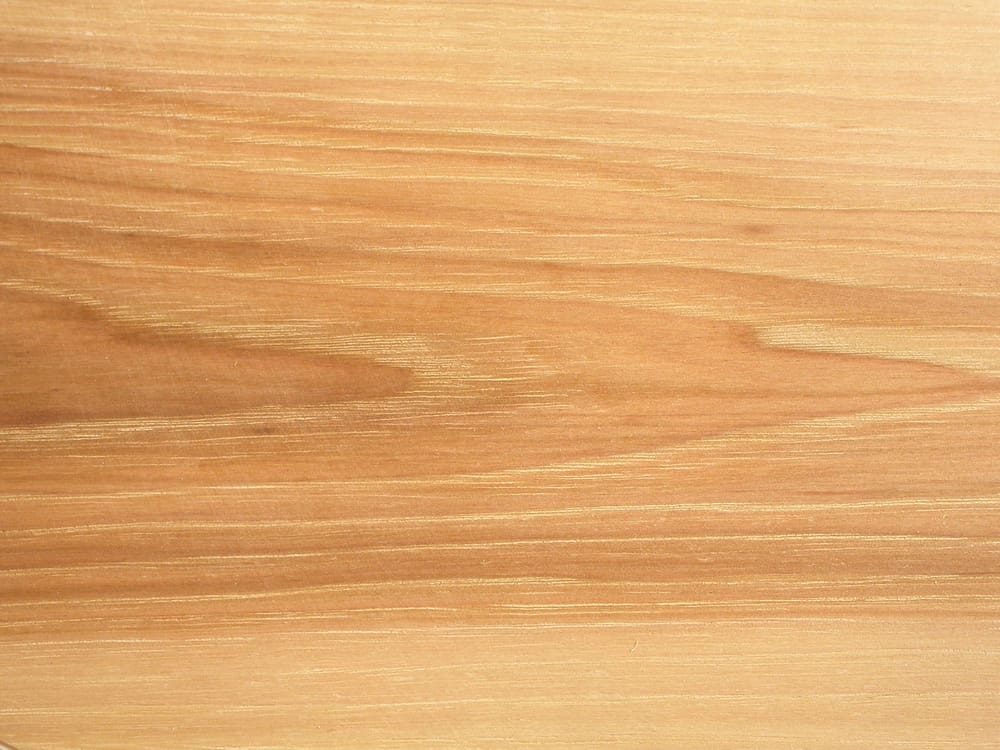 Shagbark hickory, one of the best types of wood grain patterns, pictured from above