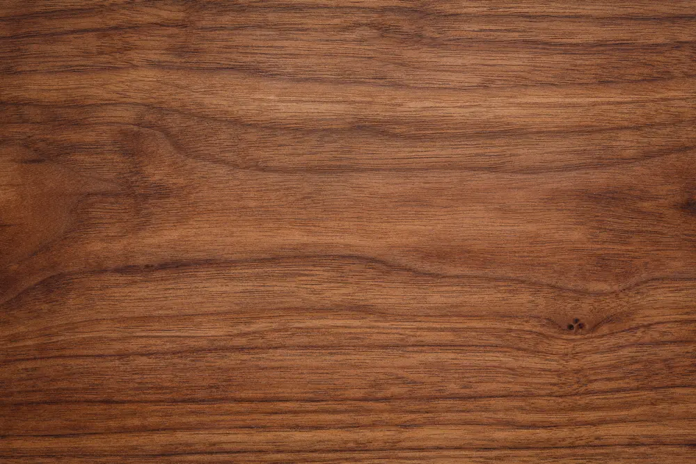 Wood grain pattern from the English Walnut tree pictured in an up-close image