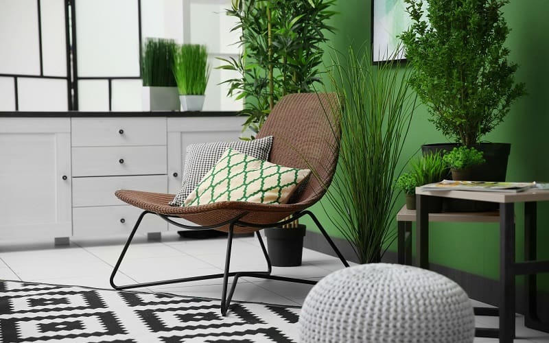 Brown chair paired with green wall and plants behind